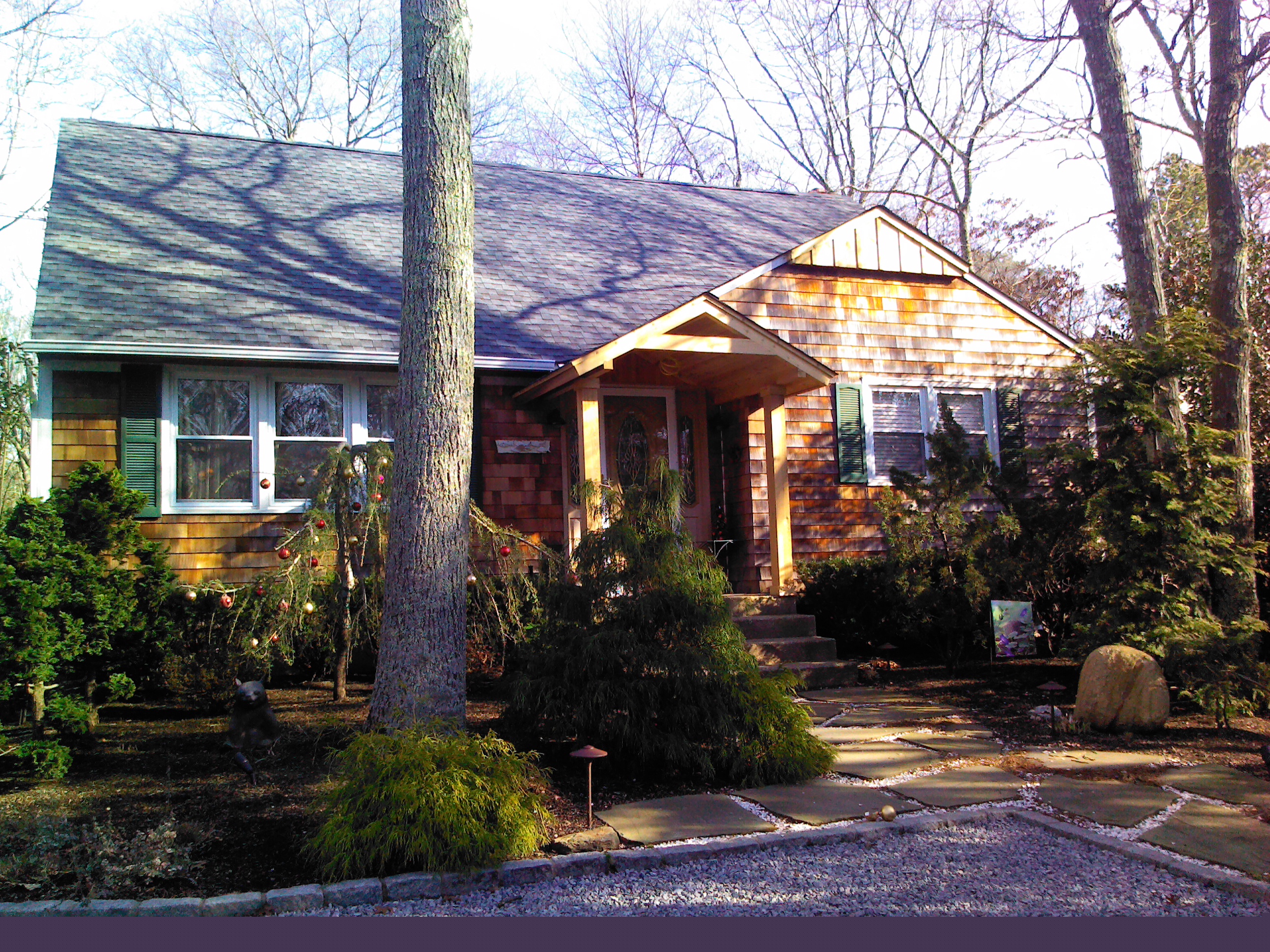 IMG_20111230_125324.jpg