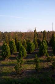 ponds/42.jpg