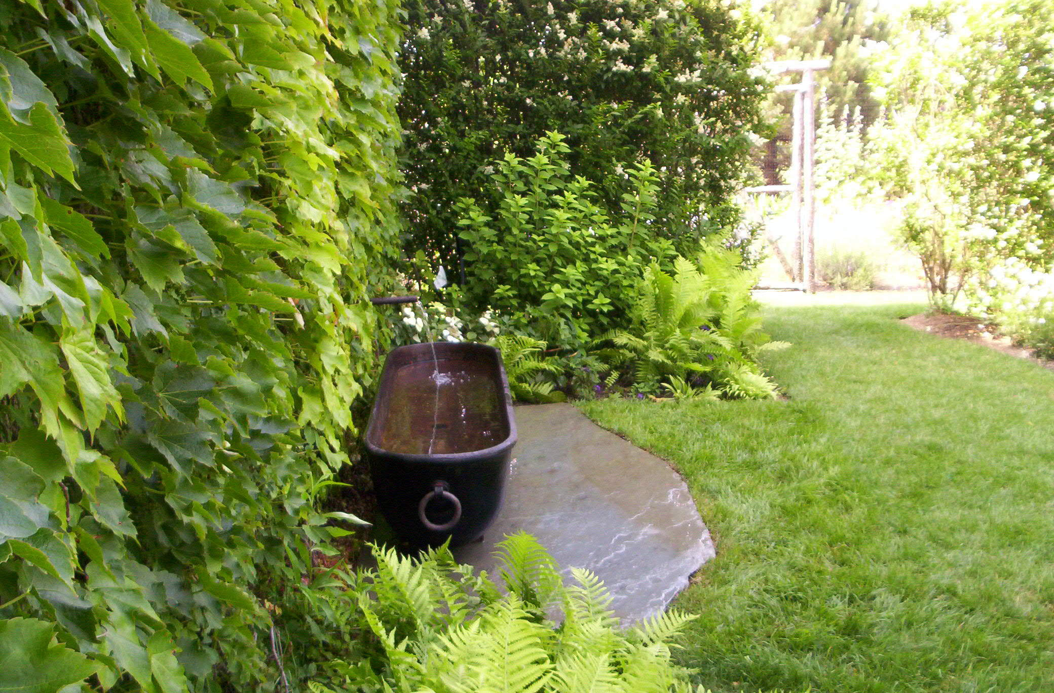 ponds/007.JPG